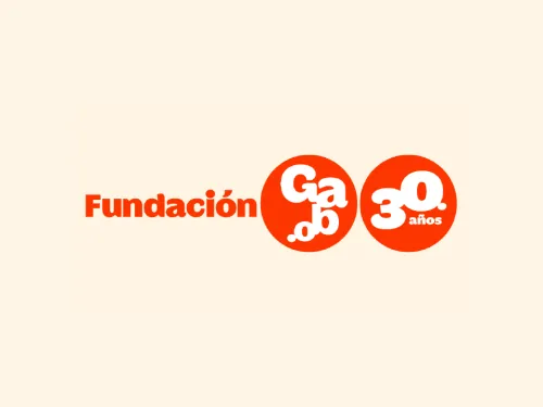 Fundación Gabo Gerencia de Tecnología